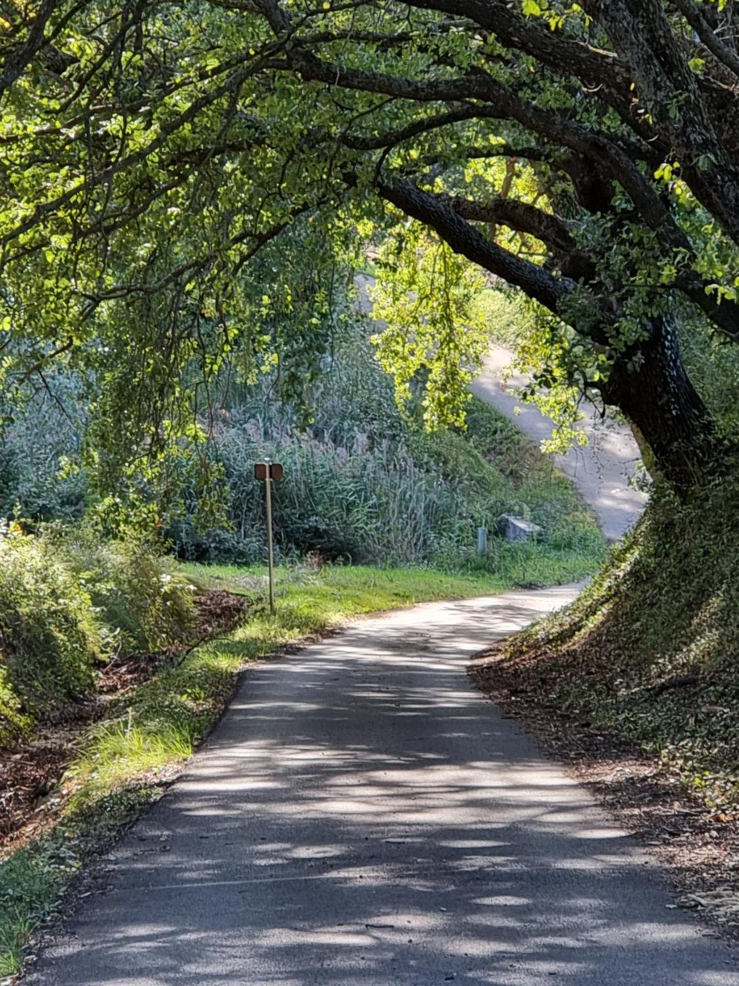 L'eden Des Baronnies Ferienhaus Mirabel-aux-Baronnies